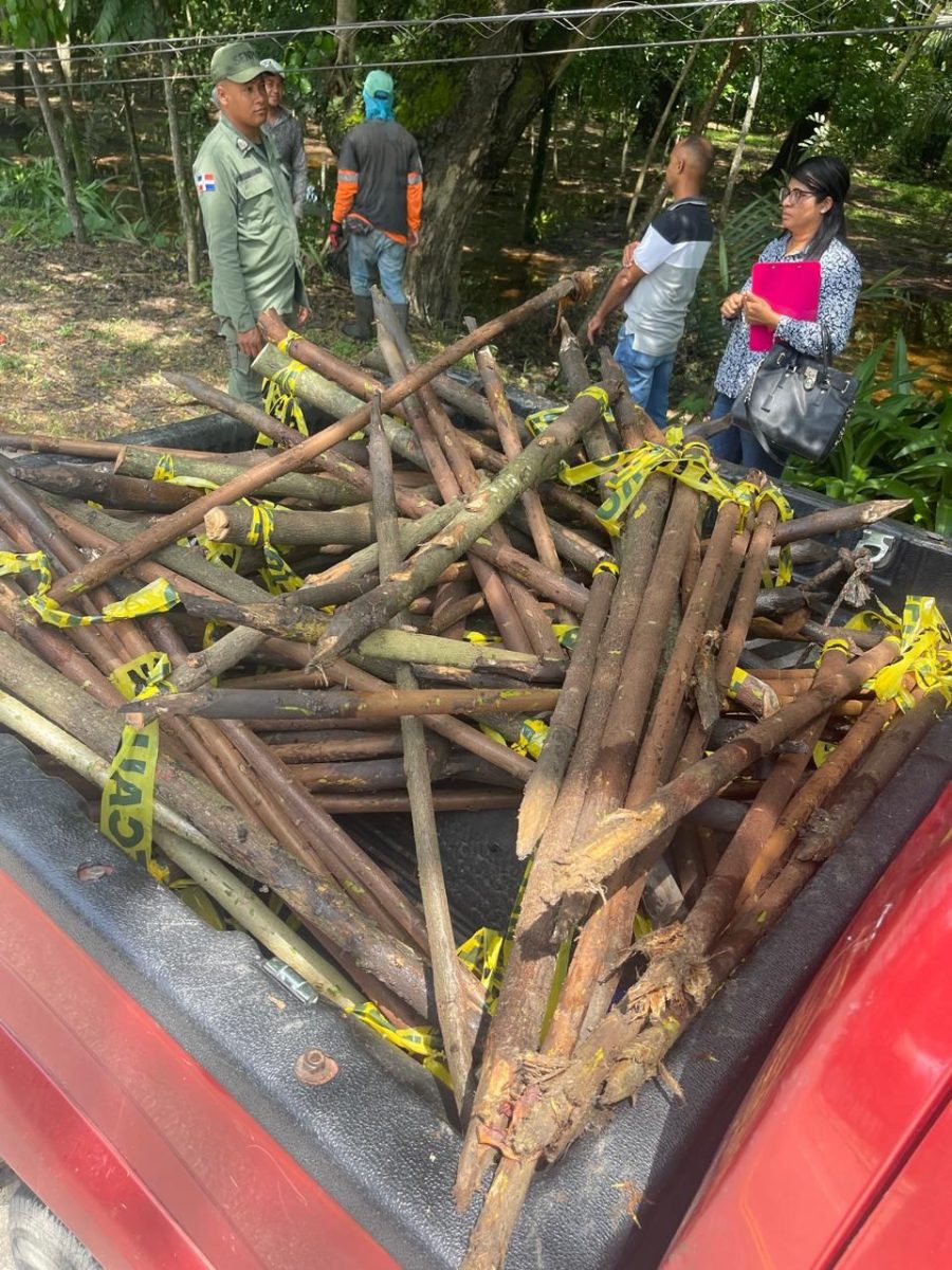 Medio Ambiente investiga desmonte de árboles realizado por la alcaldía de SFM en el Paisaje Ecológico Riberas del Jaya